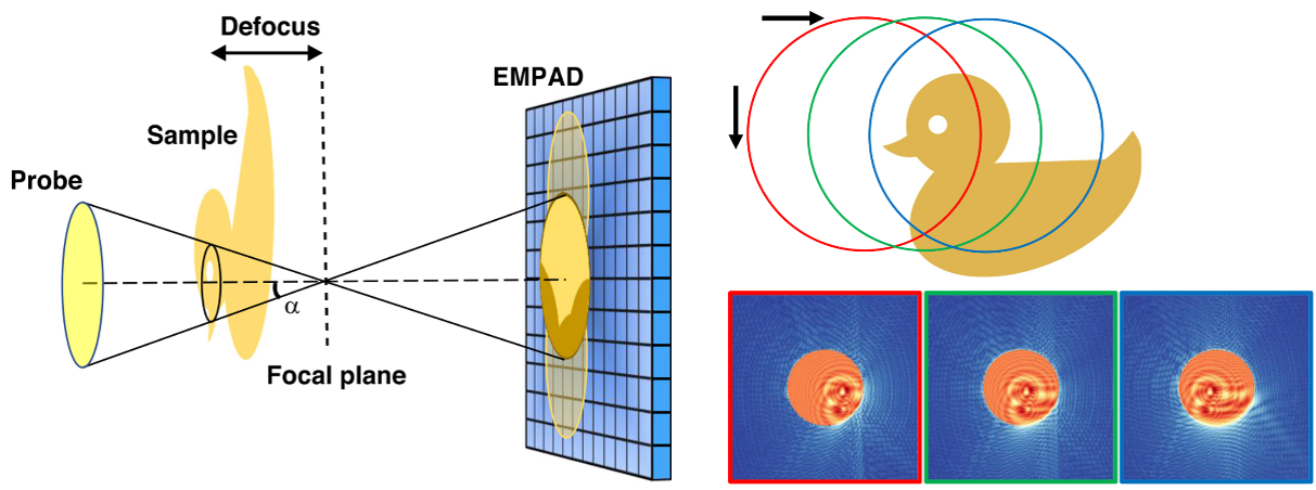 Electron Micrograph