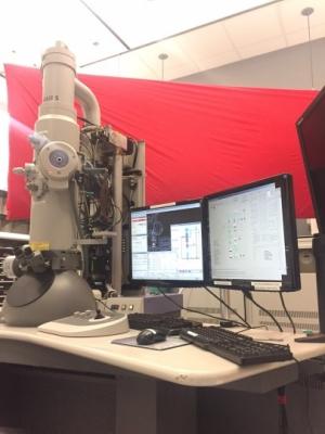 FEI Tecnai BioTwin TEM