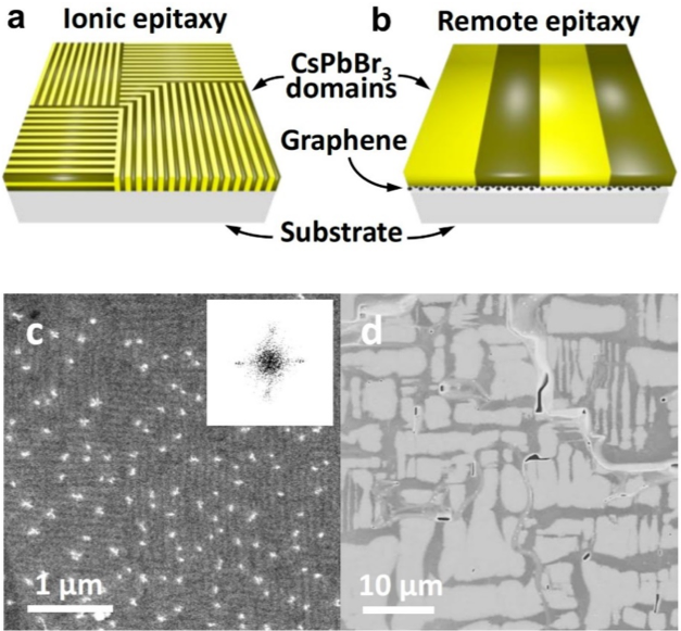 Remote Epitaxy