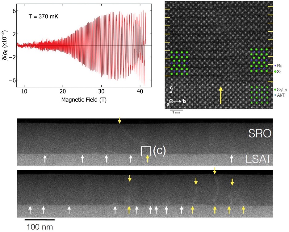 Oscillations data