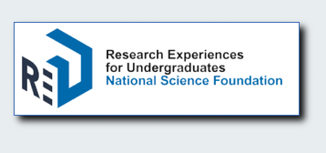 REU NSF logo