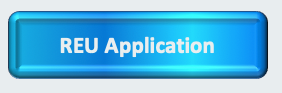 REU Application button